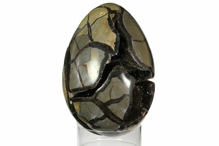 Septarian Dragon Egg Geode - Black Crystals #158341